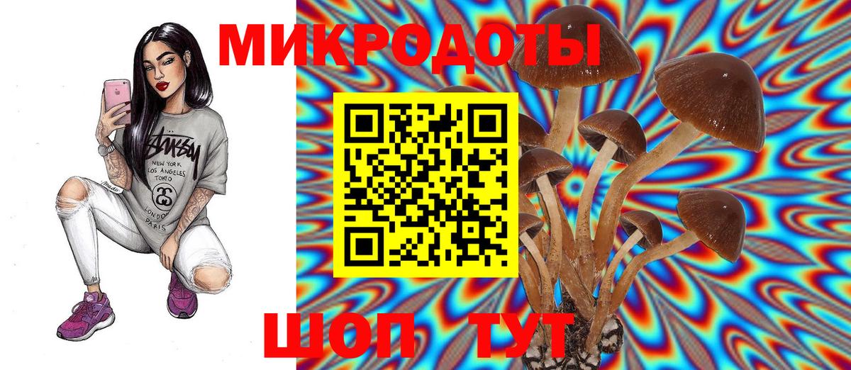 Ярославль  Галлюциногенные грибы MAGIC MUSHROOMS  Вход с VPN  Псилоцибиновые грибы прущие грибы 