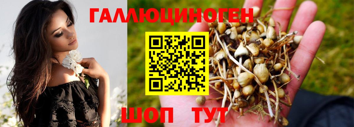 Псилоцибиновые грибы GOLDEN TEACHER Ярославль